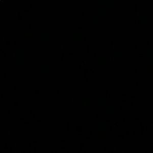 Meet your Posher, Lilli